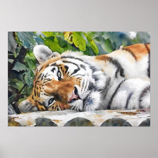 Poster Repose du portrait de tigre (Devant)