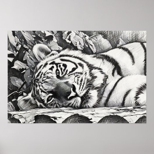 Poster Repose du portrait de tigre (Devant)