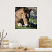 Poster Repose sur le ponton sauvage (Cuisine)
