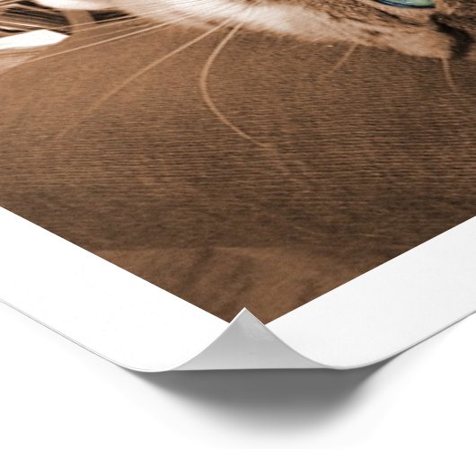 Poster Reposer dans Twill (Coin)