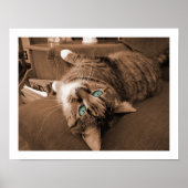 Poster Reposer dans Twill (Devant)