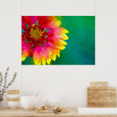 Poster Représentation artistique de la fleur Indian Blank (Cuisine)