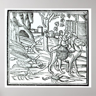 Poster Représentation de la peste, 1572