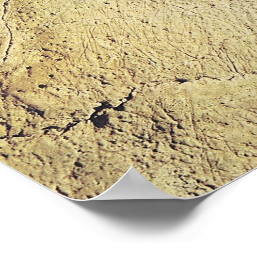 Poster Représentation d'un animal, c.15000 BC (Coin)