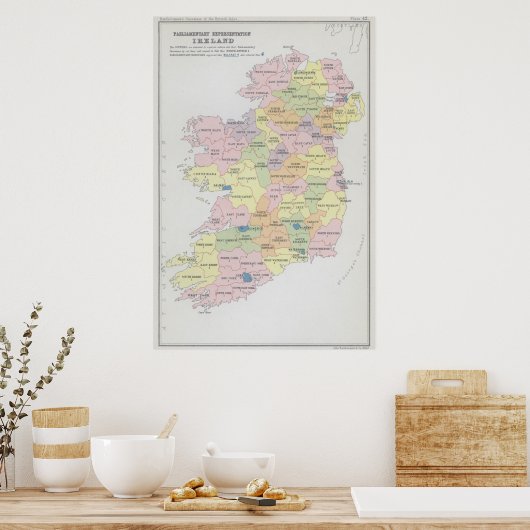Poster Représentation parlementaire | Irlande (Cuisine)
