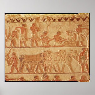 Poster Representation peinte de soulagement