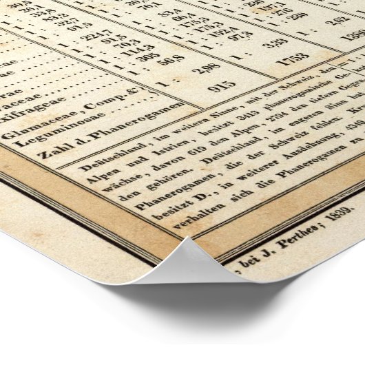 Poster représentation tabulaire des statistiques (Coin)