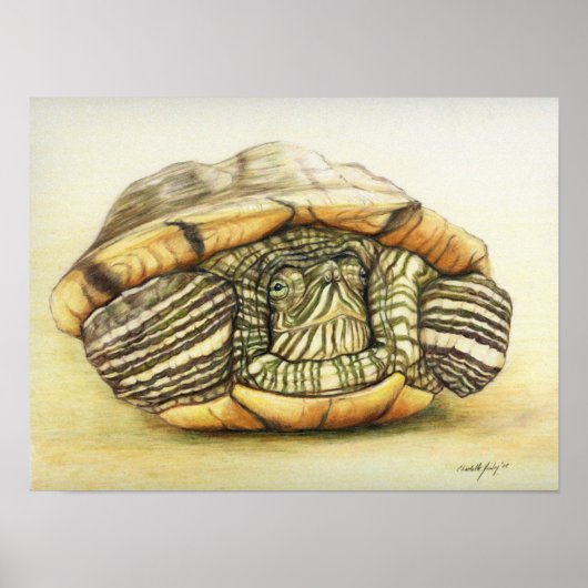 Poster Reproduction artistique "Tortue" Imprimer l'affich (Devant)