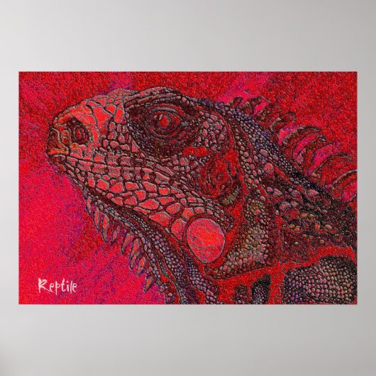 Poster Reptile 2 (Devant)