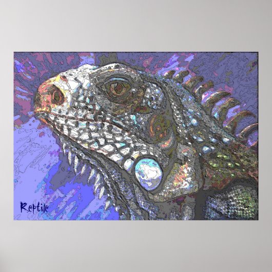 Poster Reptile 3 (Devant)