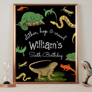 Poster Reptile, Lizards Amphibiens Anniversaires de enfan