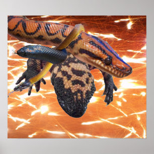 Poster Reptiles