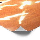 Poster Reptiles (Coin)