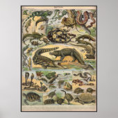 Poster Reptiles (Devant)