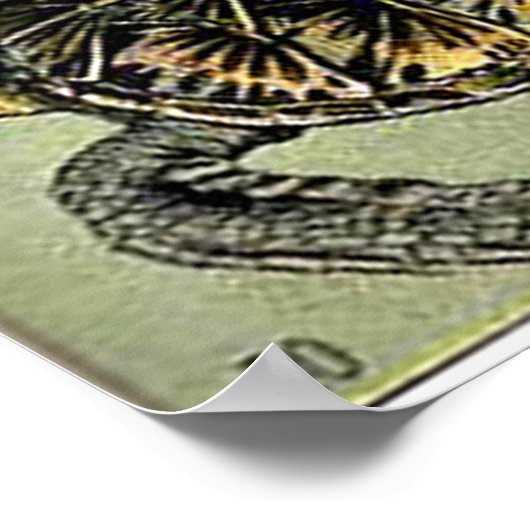 Poster Reptiles Adolphe Millot (Coin)