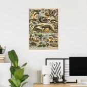 Poster Reptiles - Collection de reptiles (Bureau à domicile)