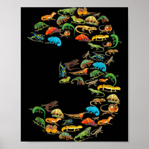 Poster reptiles lézards 3 ans anniversaire 3ème anniversa