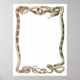 Poster Reptiles Vintage, Serpents ou Vipères Entrelacés e