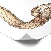 Poster Reptiles vintages, Serpents enmêlés ou Vipers (Coin)