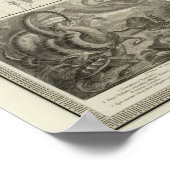 Poster Reptilia, Ophidia (Coin)