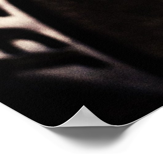 Poster République du Texas *affiche* (Coin)