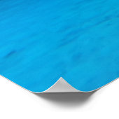 Poster Requin (Coin)