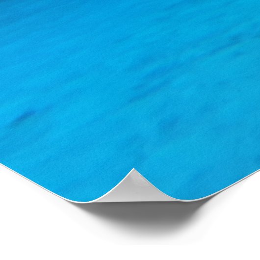 Poster Requin (Coin)