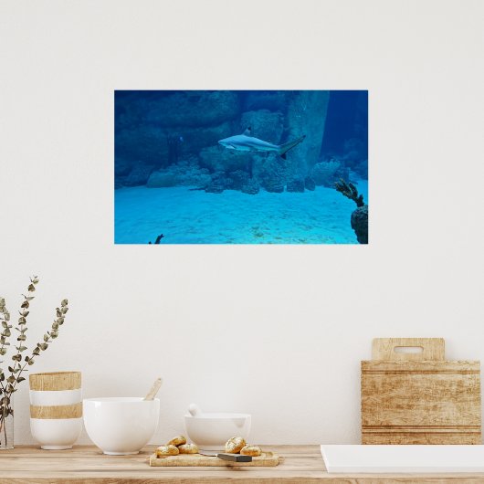 Poster Requin (Cuisine)