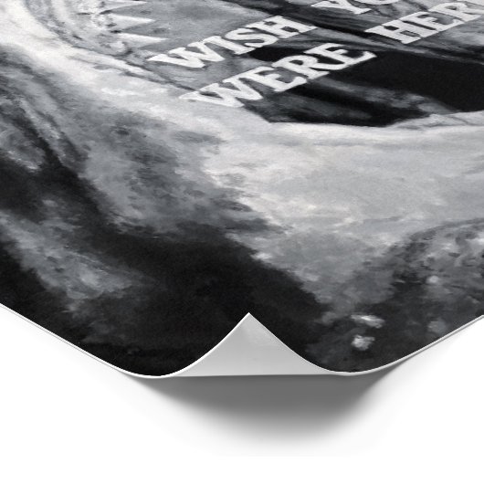 Poster Requin (Coin)