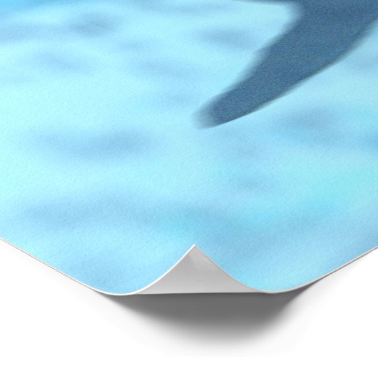 Poster Requin (Coin)