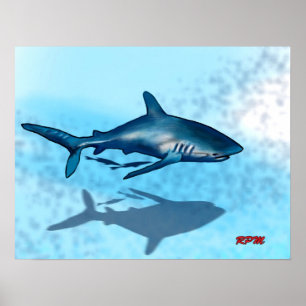 Poster Requin