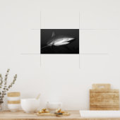 Poster requin (Cuisine)
