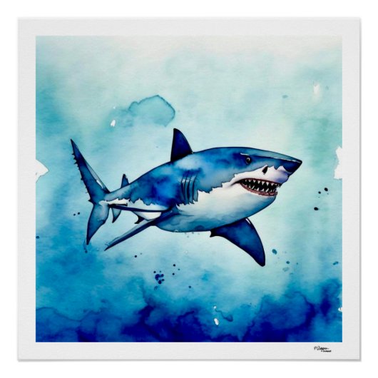 Poster Requin (Devant)