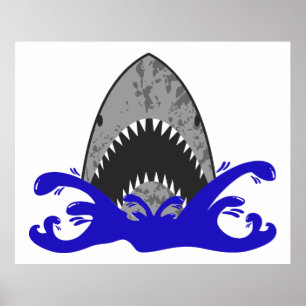 Poster Requin