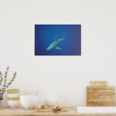 Poster requin (Cuisine)