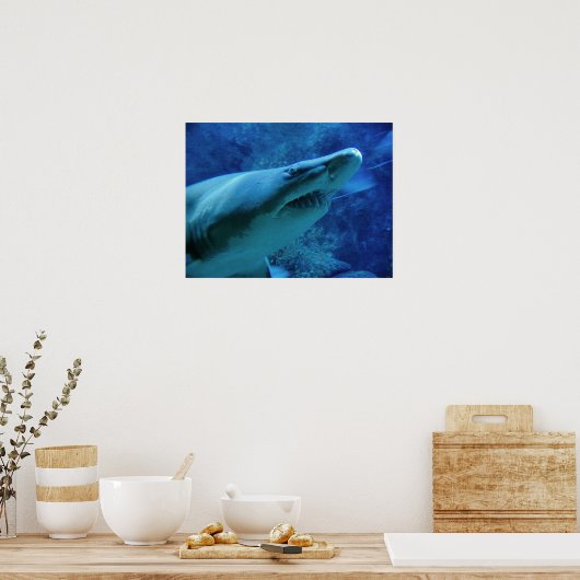 Poster Requin (Cuisine)