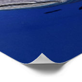 Poster Requin baleine (Coin)