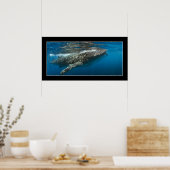 Poster Requin baleine #7 (Cuisine)