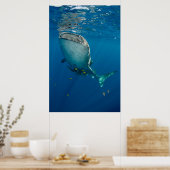 Poster Requin Baleine et Poisson (Cuisine)