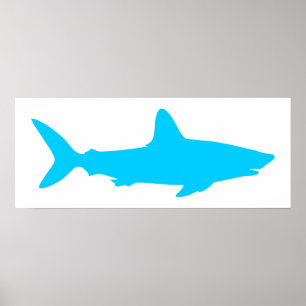 Poster Requin Blanc et Bleu Aqua