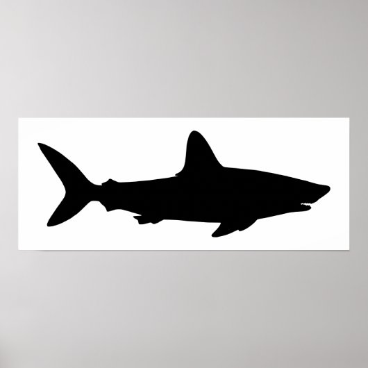 Poster Requin blanc et noir (Devant)