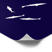 Poster requin bleu (Coin)
