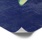 Poster requin bleu désossé (Coin)