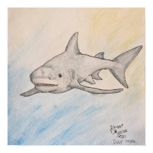 Requin bouledogue