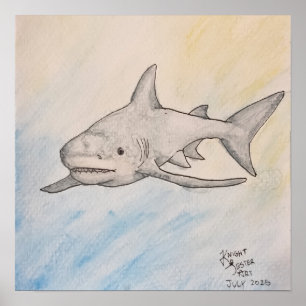Poster Requin bouledogue
