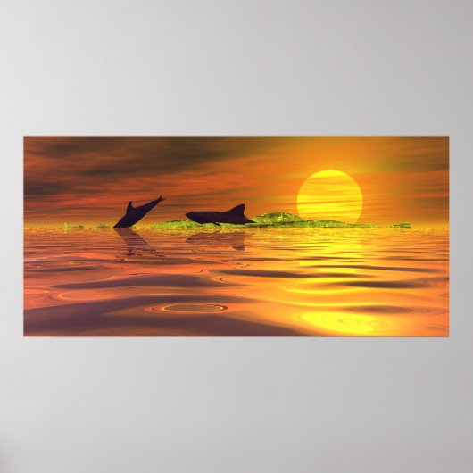 Poster Requin dauphin le jeu de la vie (Devant)