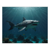 Poster Requin de natation solo (Devant)