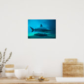 Poster Requin de nuit (Carcharhinus Obscurus), Ushaka (Cuisine)