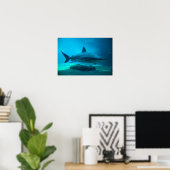 Poster Requin de nuit (Carcharhinus Obscurus), Ushaka (Bureau à domicile)