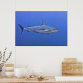 Poster Requin de récif (Cuisine)